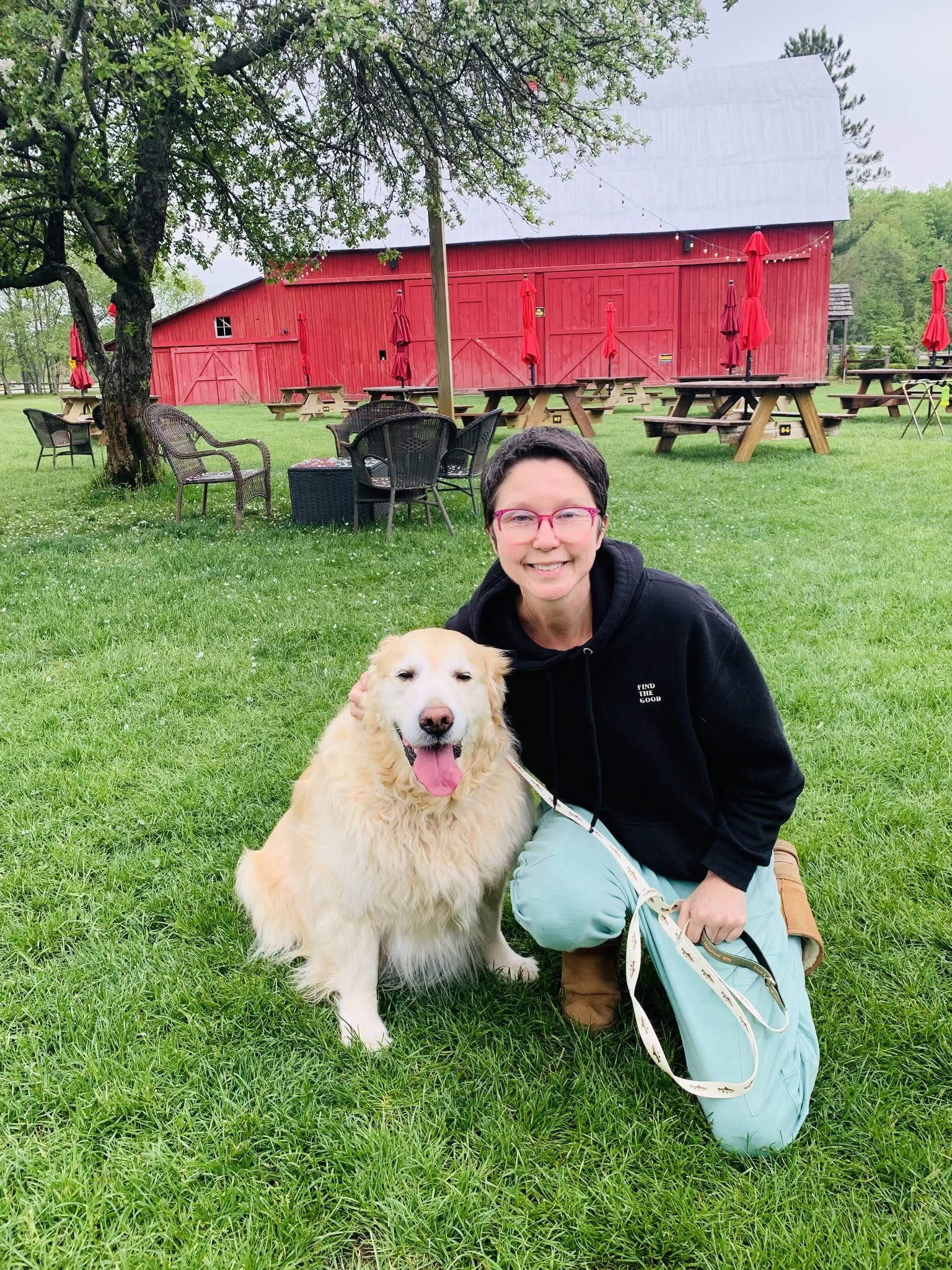 THE FOUR-LEGGED INSPIRATION